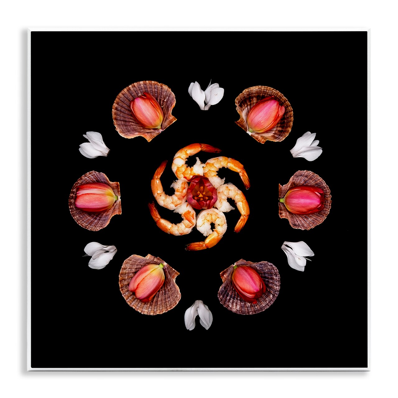 Stupell Industries Seashells & Tulips Symmetry Wall Plaque, design by Beth Adoette